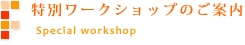 特別ワークショップのご案内