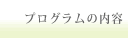プログラムの内容